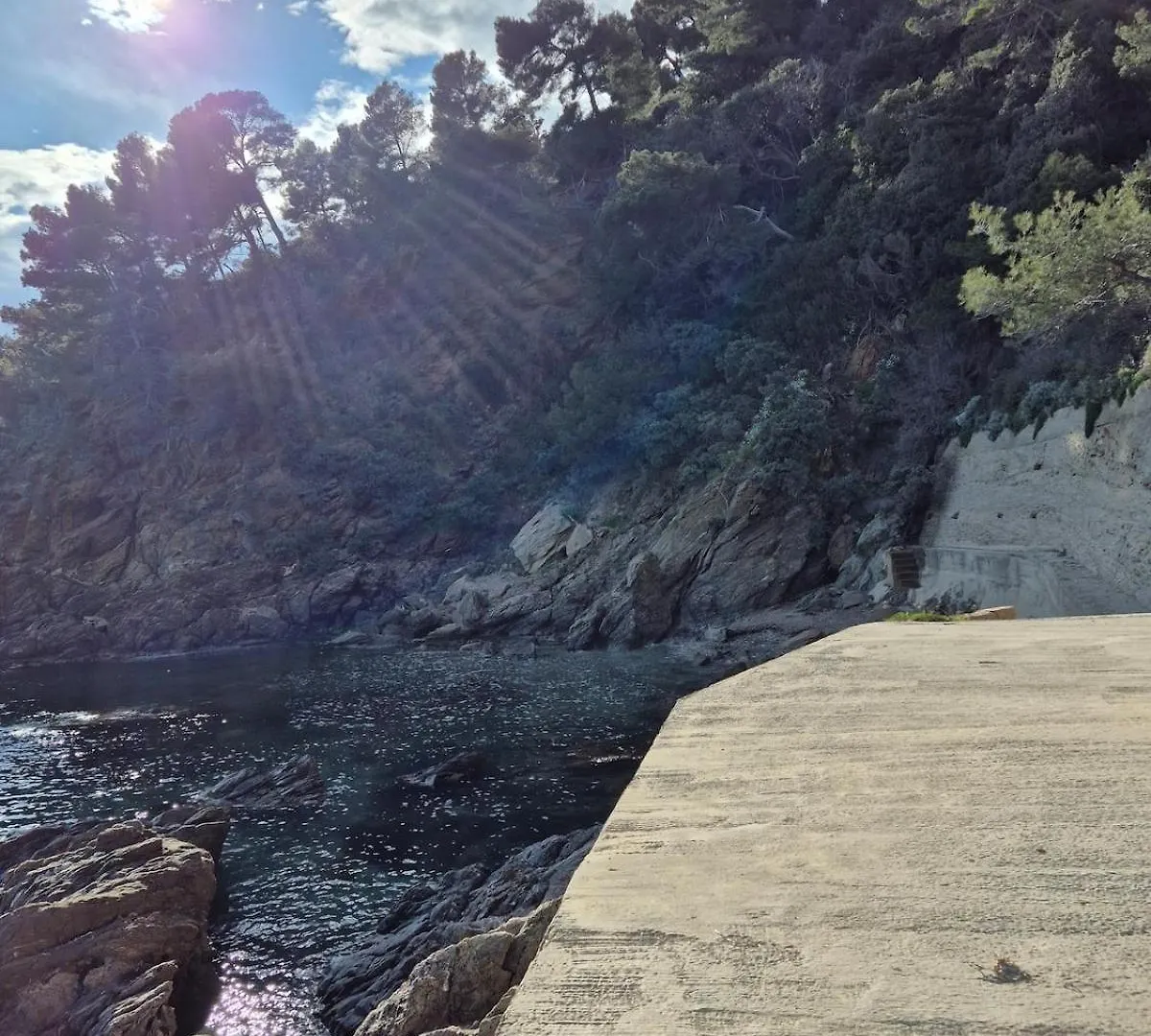 Le Petit Levant Sea View Studio Cavalaire-sur-Mer